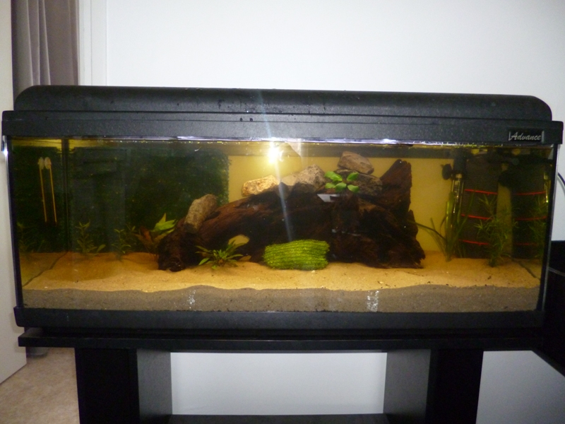 JmenBaLeStix's Aquarium BacClean